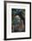 Forest, British Columbia-Emily Carr-Framed Premium Giclee Print