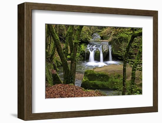 Forest brook, Schiessendumpel, Mullerthal, Luxembourg, Europe-Hans-Peter Merten-Framed Photographic Print