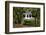 Forest brook, Schiessendumpel, Mullerthal, Luxembourg, Europe-Hans-Peter Merten-Framed Photographic Print