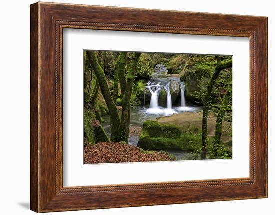 Forest brook, Schiessendumpel, Mullerthal, Luxembourg, Europe-Hans-Peter Merten-Framed Photographic Print