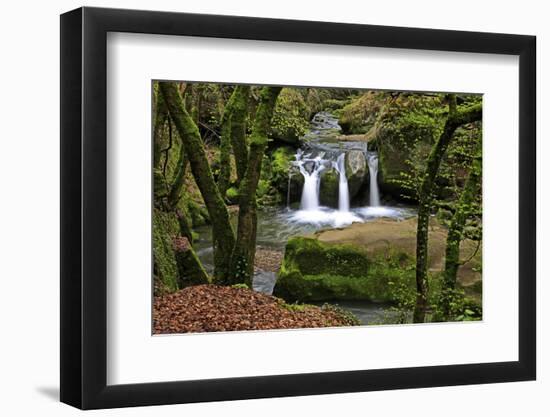 Forest brook, Schiessendumpel, Mullerthal, Luxembourg, Europe-Hans-Peter Merten-Framed Photographic Print