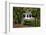 Forest brook, Schiessendumpel, Mullerthal, Luxembourg, Europe-Hans-Peter Merten-Framed Photographic Print