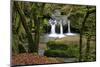 Forest brook, Schiessendumpel, Mullerthal, Luxembourg, Europe-Hans-Peter Merten-Mounted Photographic Print