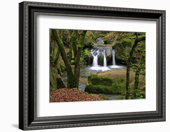 Forest brook, Schiessendumpel, Mullerthal, Luxembourg, Europe-Hans-Peter Merten-Framed Photographic Print