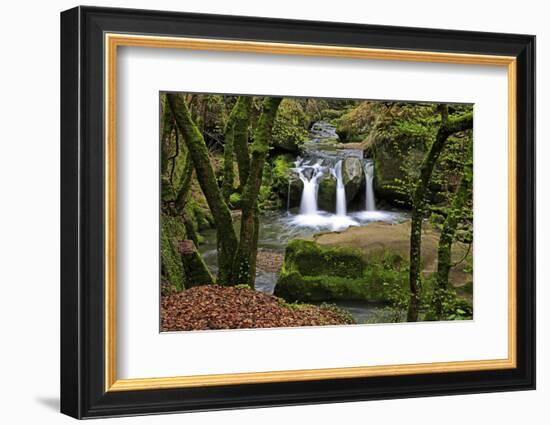 Forest brook, Schiessendumpel, Mullerthal, Luxembourg, Europe-Hans-Peter Merten-Framed Photographic Print