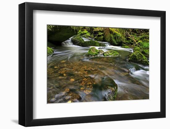 Forest brook, Schiessendumpel, Mullerthal, Luxembourg, Europe-Hans-Peter Merten-Framed Photographic Print