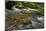 Forest brook, Schiessendumpel, Mullerthal, Luxembourg, Europe-Hans-Peter Merten-Mounted Photographic Print