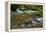 Forest brook, Schiessendumpel, Mullerthal, Luxembourg, Europe-Hans-Peter Merten-Framed Premier Image Canvas