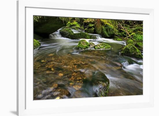 Forest brook, Schiessendumpel, Mullerthal, Luxembourg, Europe-Hans-Peter Merten-Framed Photographic Print