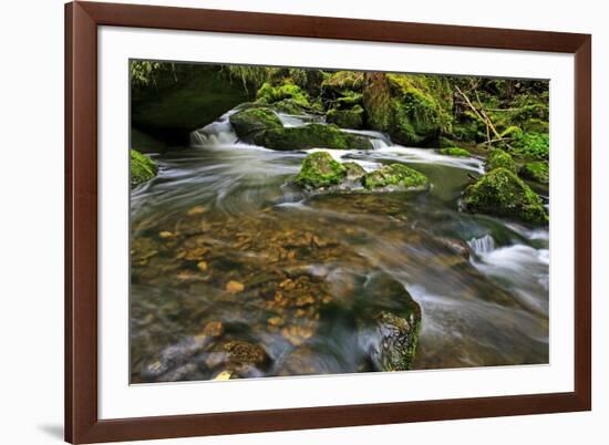 Forest brook, Schiessendumpel, Mullerthal, Luxembourg, Europe-Hans-Peter Merten-Framed Photographic Print