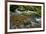 Forest brook, Schiessendumpel, Mullerthal, Luxembourg, Europe-Hans-Peter Merten-Framed Photographic Print