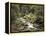 Forest, Brook, Summer-Thonig-Framed Premier Image Canvas