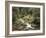 Forest, Brook, Summer-Thonig-Framed Photographic Print