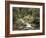 Forest, Brook, Summer-Thonig-Framed Photographic Print