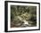 Forest, Brook, Summer-Thonig-Framed Photographic Print