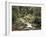 Forest, Brook, Summer-Thonig-Framed Photographic Print