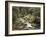 Forest, Brook, Summer-Thonig-Framed Photographic Print