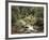 Forest, Brook, Summer-Thonig-Framed Photographic Print