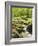 Forest, Brook, Vegetation, Moss, Fern-Thonig-Framed Photographic Print