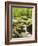 Forest, Brook, Vegetation, Moss, Fern-Thonig-Framed Photographic Print