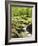 Forest, Brook, Vegetation, Moss, Fern-Thonig-Framed Photographic Print