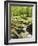 Forest, Brook, Vegetation, Moss, Fern-Thonig-Framed Photographic Print