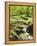 Forest, Brook, Vegetation, Moss, Fern-Thonig-Framed Premier Image Canvas