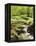 Forest, Brook, Vegetation, Moss, Fern-Thonig-Framed Premier Image Canvas