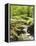 Forest, Brook, Vegetation, Moss, Fern-Thonig-Framed Premier Image Canvas