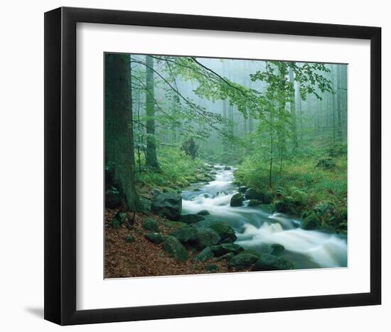 Forest Brook-null-Framed Art Print