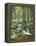 Forest, Brook-Thonig-Framed Premier Image Canvas