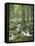 Forest, Brook-Thonig-Framed Premier Image Canvas