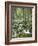 Forest, Brook-Thonig-Framed Photographic Print