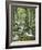 Forest, Brook-Thonig-Framed Photographic Print