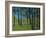 Forest Brook-Paul Bailey-Framed Art Print