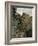 Forest Cart Road-Claude Monet-Framed Giclee Print