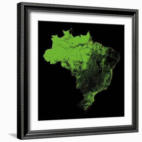 Forest Cover Of Brazil-Grasshopper Geography-Framed Giclee Print