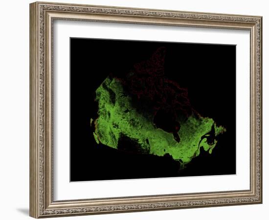 Forest Cover Of Canada-Grasshopper Geography-Framed Giclee Print