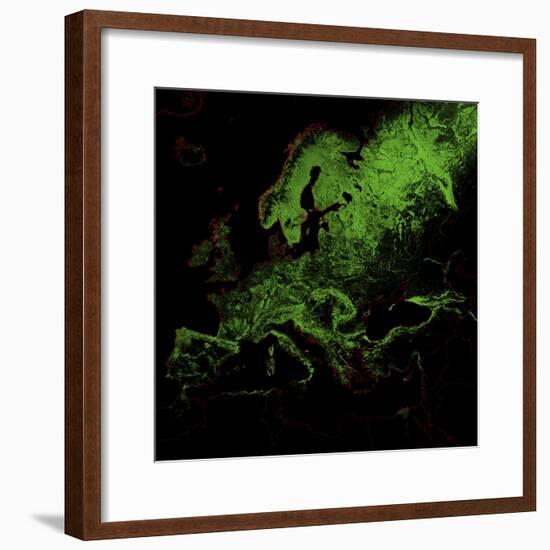 Forest Cover Of Europe-Grasshopper Geography-Framed Giclee Print