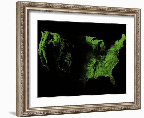 Forest Cover of the US-Grasshopper Geography-Framed Giclee Print