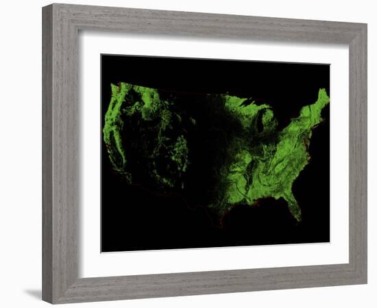 Forest Cover of the US-Grasshopper Geography-Framed Giclee Print