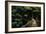 Forest Crossing-Bob Krist-Framed Giclee Print