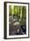 Forest Cycling-Charles Bowman-Framed Photographic Print