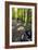 Forest Cycling-Charles Bowman-Framed Photographic Print