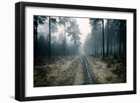 Forest Dawn-David Baker-Framed Photographic Print