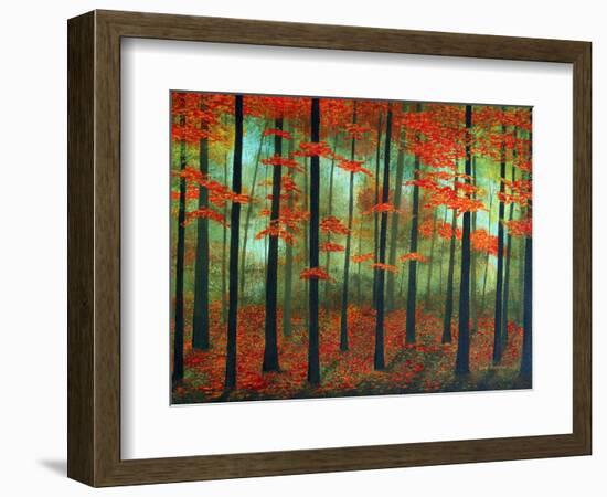 Forest Dawn-Herb Dickinson-Framed Photographic Print