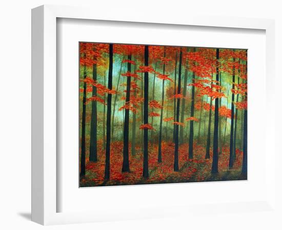 Forest Dawn-Herb Dickinson-Framed Photographic Print