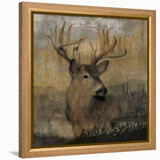 Forest Deer-Carol Robinson-Framed Stretched Canvas