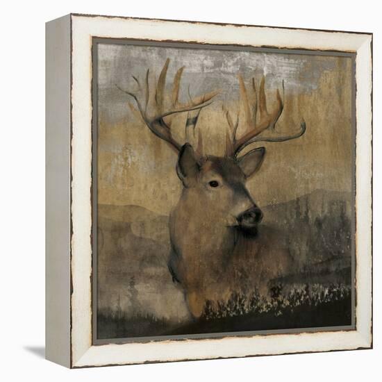 Forest Deer-Carol Robinson-Framed Stretched Canvas