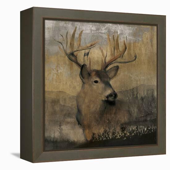 Forest Deer-Carol Robinson-Framed Stretched Canvas